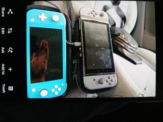 Nintendo switch,and switch lite