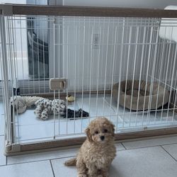USA Large Dog Crate, Dog Kennel Indoor with Sliding Door & Bottom Tray, Dog Cage, Wire Pet Pen with Bottom Tray, Stylish Wood-Like Trim, Light Brown 