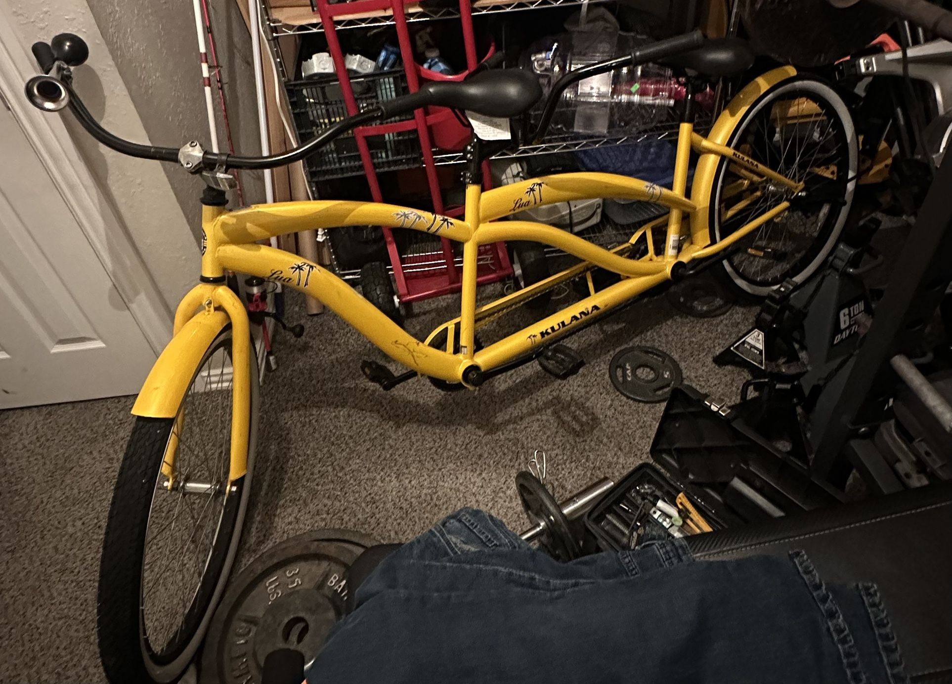 Tandem Bike $200