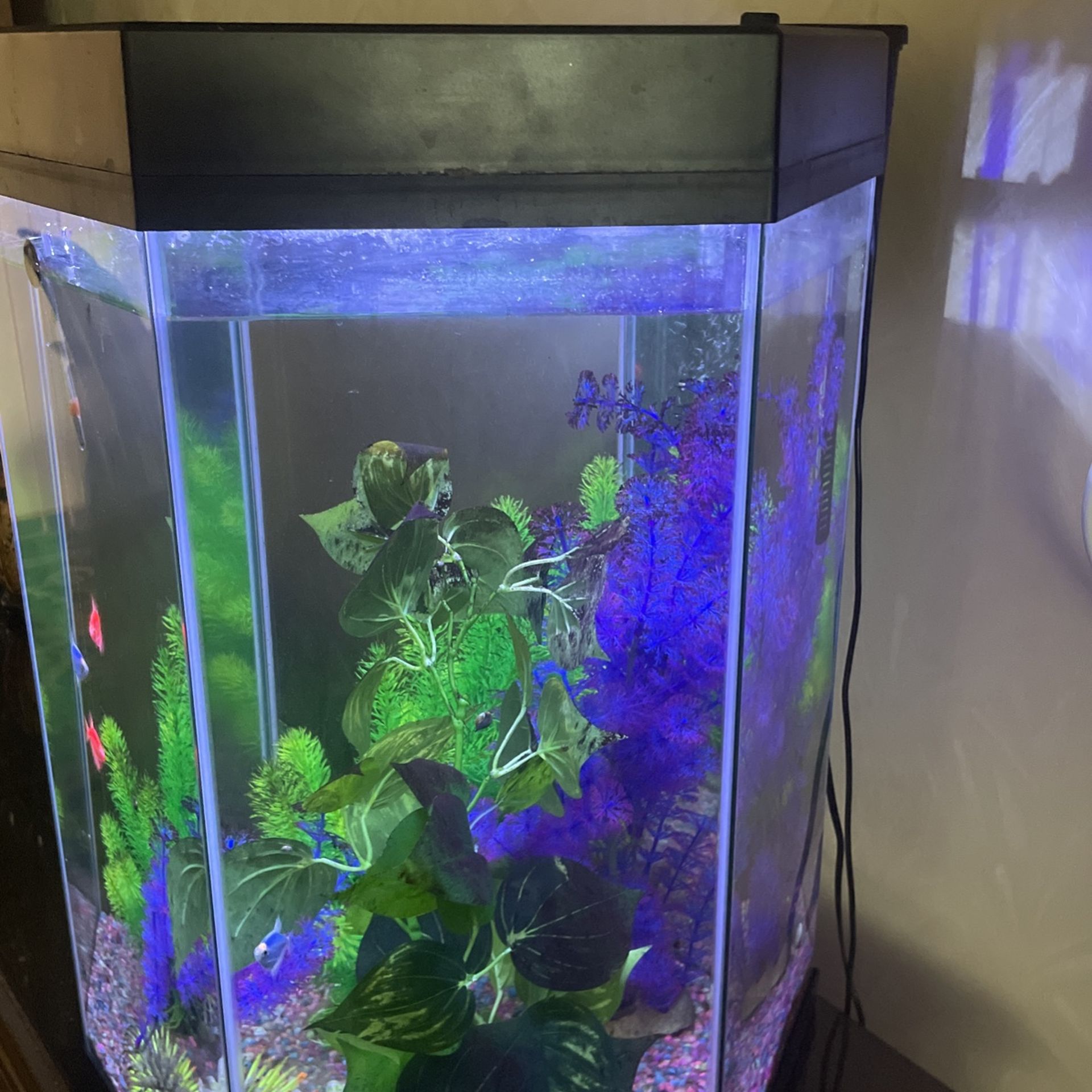 Aguarium