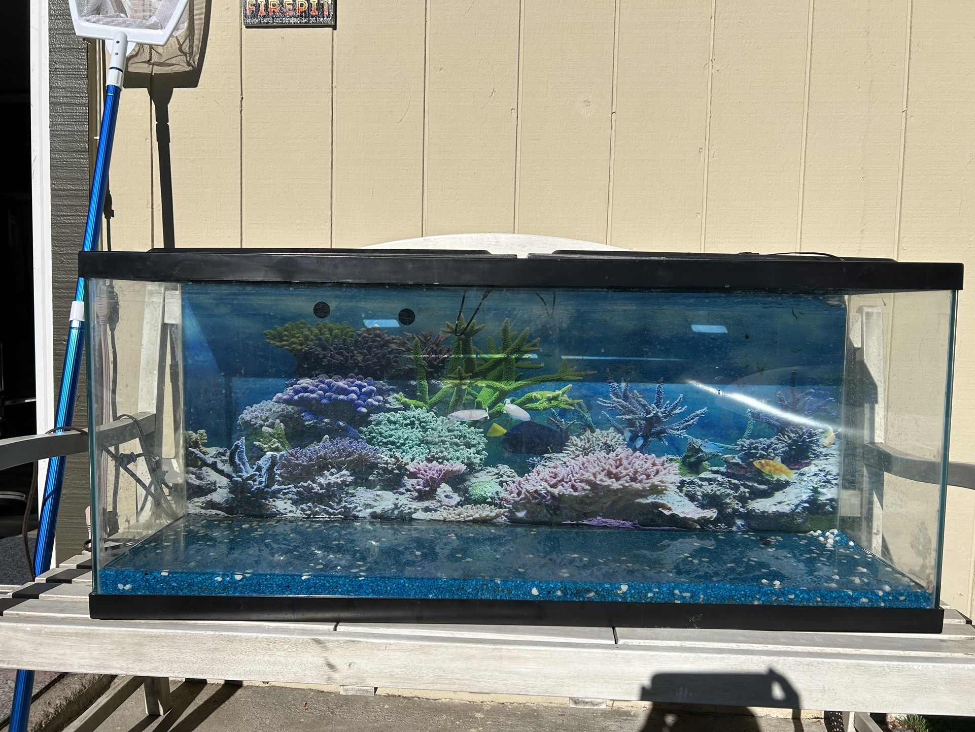55 Gallon Fish Tank with Filter