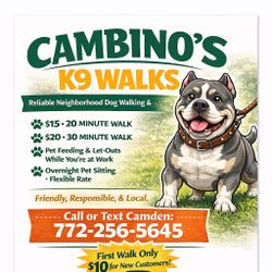 Dog Walking And Sitting (palm City Only)