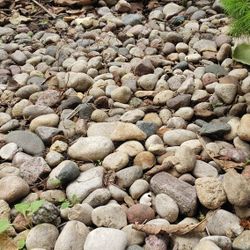 Free River Rocks And Landscape Stones