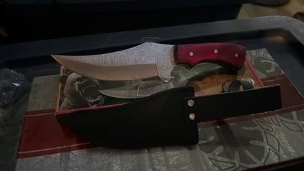 Grizzly Skinner 3