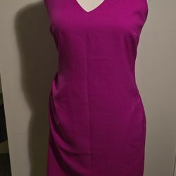Women's Size 2 Hot Pink Banana Republic Dress