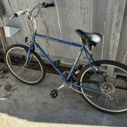 Schwinn Blue