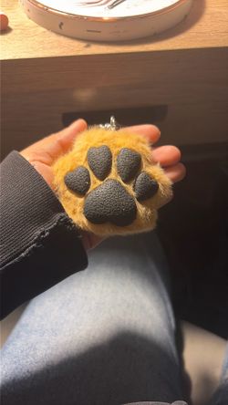 Hand sanitizer holder