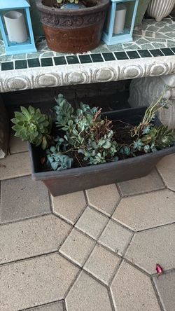 Garden Pot
