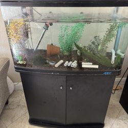 Fish Tank W Stand (Free) 