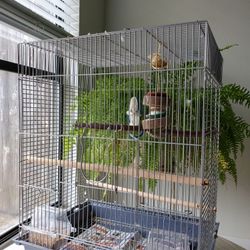 Birds Cage For Sale With All Accessories 