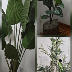 5 New Artificial  Plants  With Ceramic Pots   $45 Med Size .  $75 Xlarge Or All 5 X $220