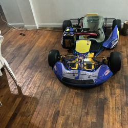 Electric Go Kart 60 Top Speed 1000% Firm