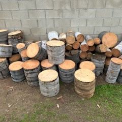 Palm Tree Stumps