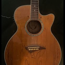 Solid Body 2008-2010 Acoustic Guitar