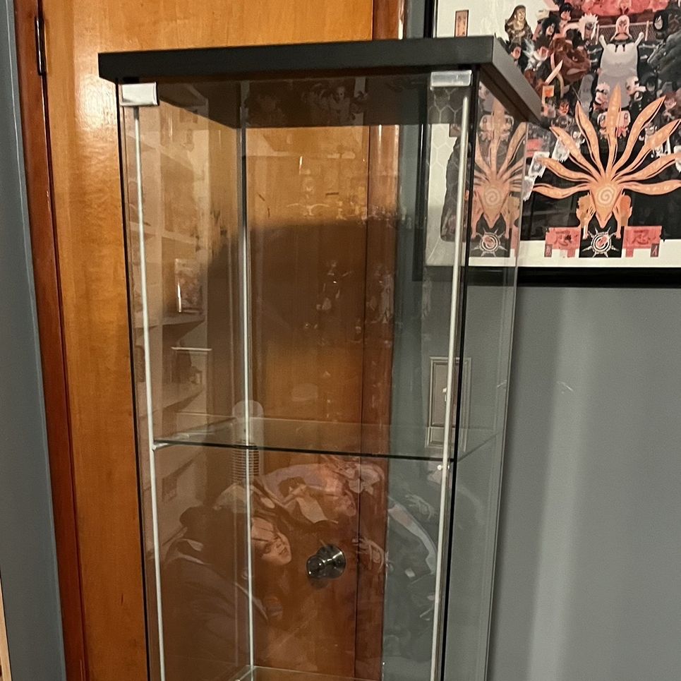 Ikea Detolf Black for Sale in Joliet, IL - OfferUp