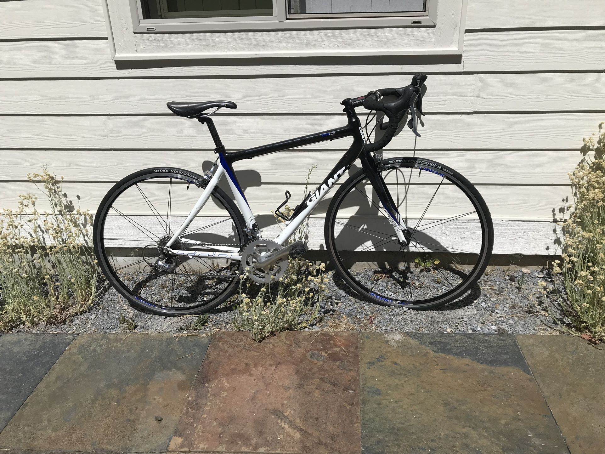 Giant Carbon Fiber Bike