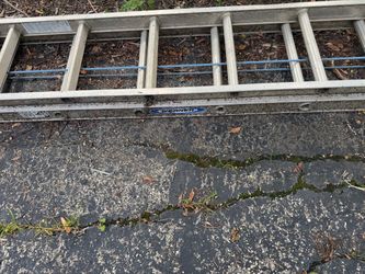 Weber 20ft extension ladder