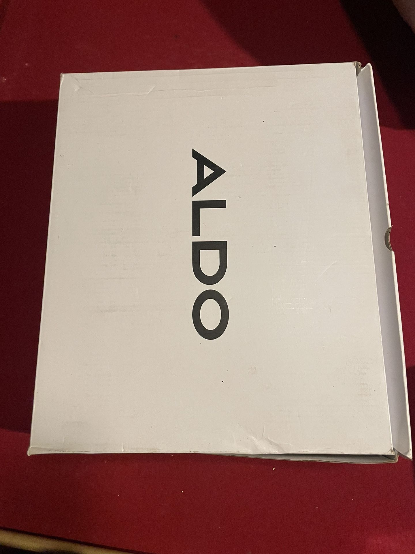 ALDO boots