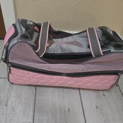 Pet Carrying bag 