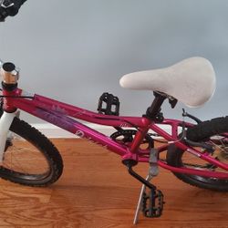 Raleigh Lily 20 inch Girl Bicycle Bike With Gears+BRAND NEW HELMET