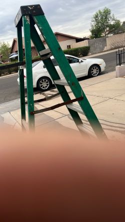 Painters Ladder 6 Gt