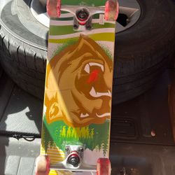 Skateboard