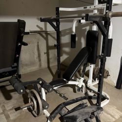 All In One Para Body Pro System 