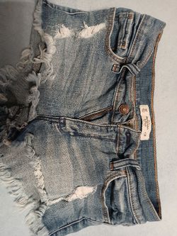 Abercrombie And Fintch Shorts