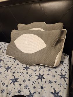 2 Tempur-pedic Pillows