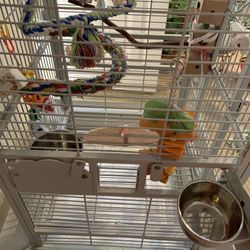 Live Birds And Cage 