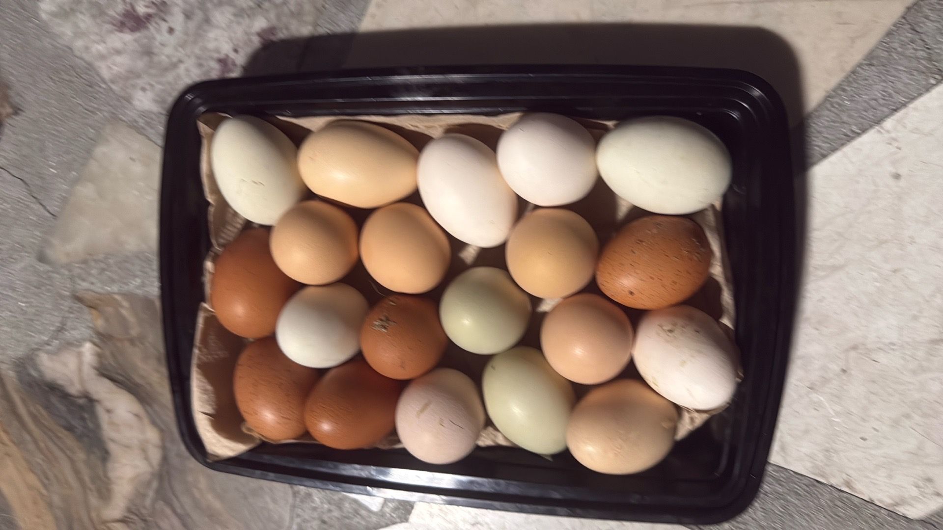 Organic fresh Eggs