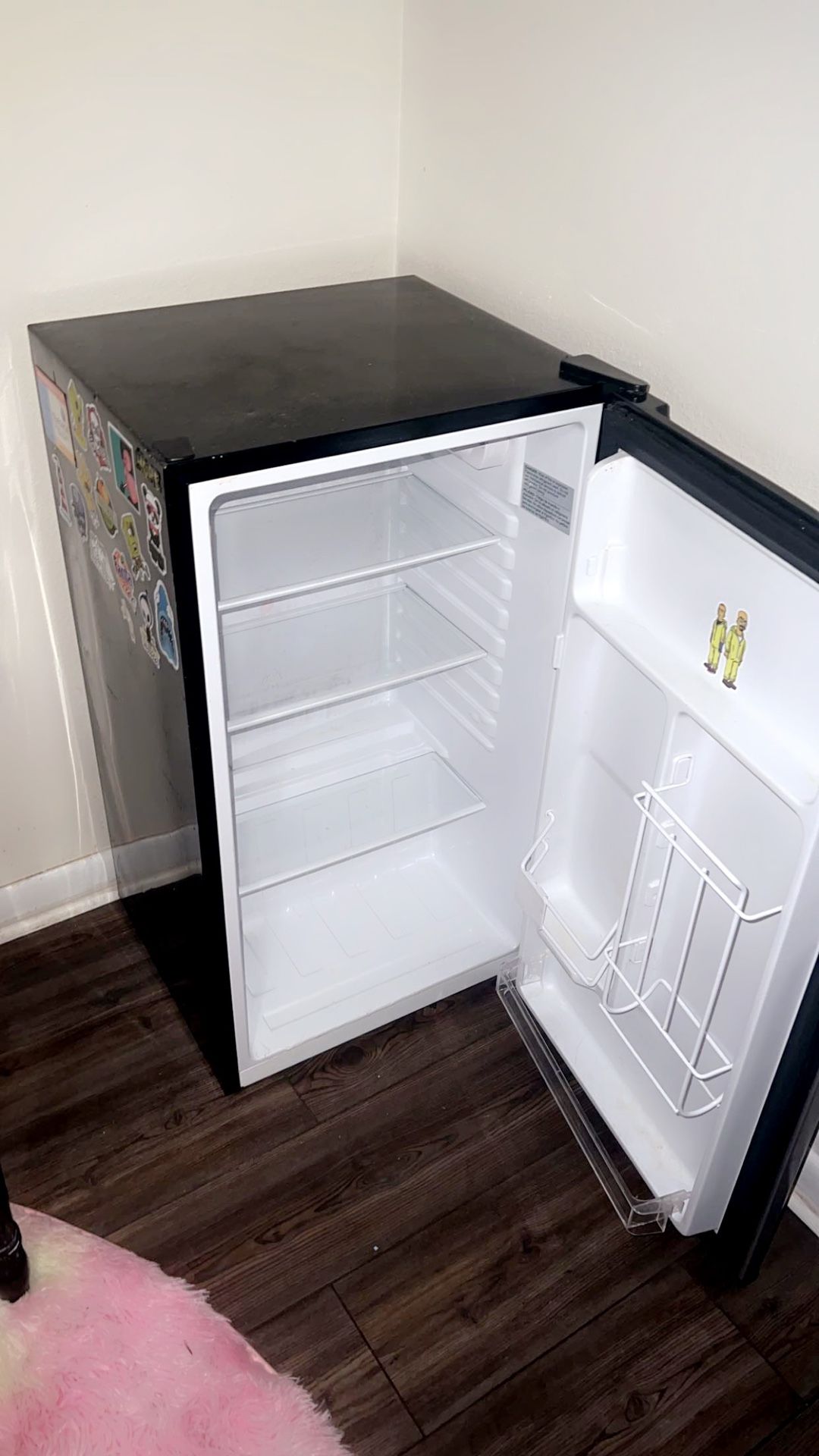Mini Fridge