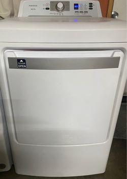 Gas dryer insignia