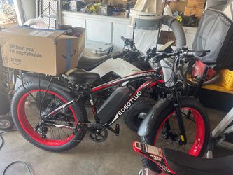 E bike