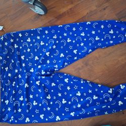 Disneyland Leggings Size 2xl Adult