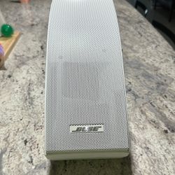 251® environmental speakers (outdoors  13 Inches  T  X 6 Inches W