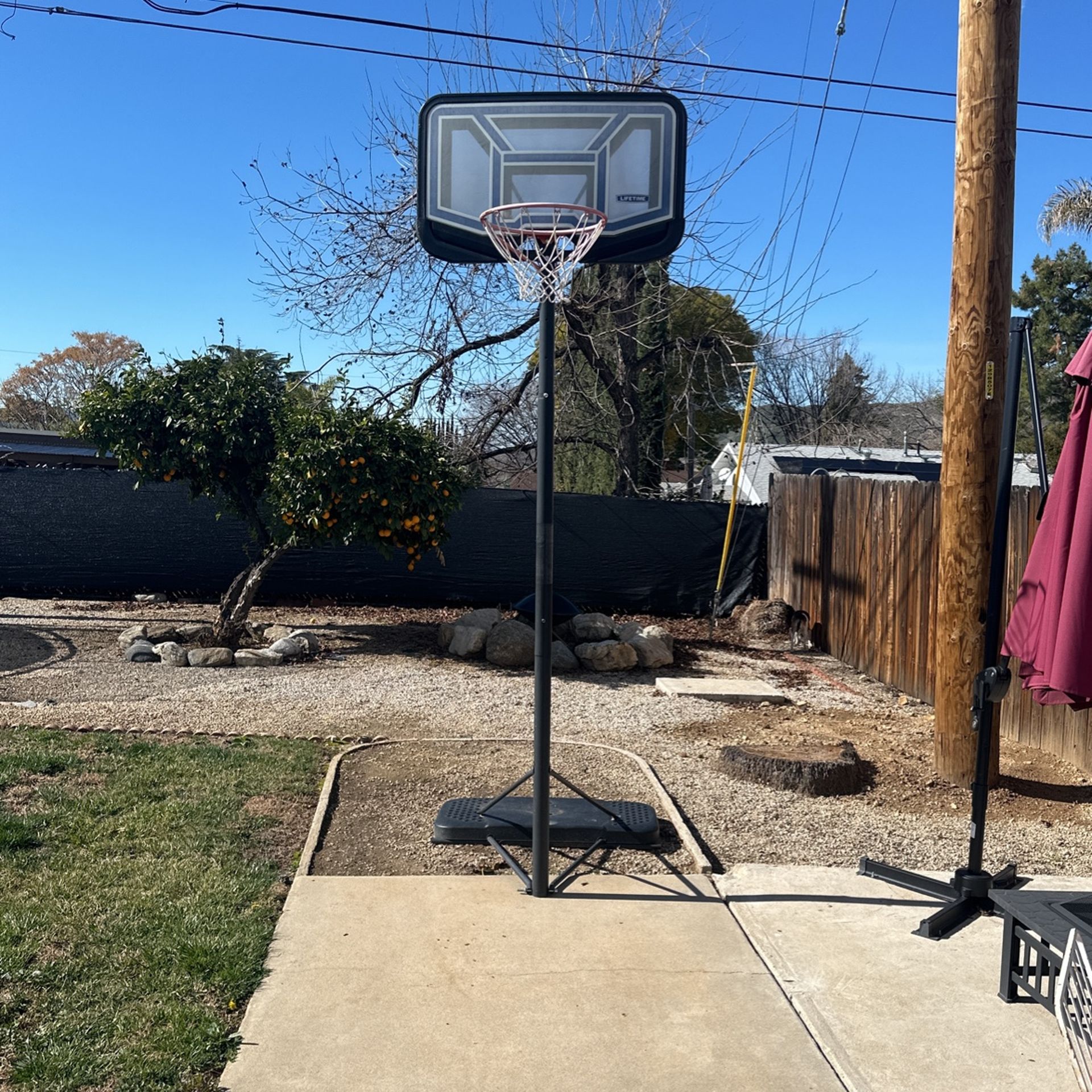 Basketball Hoop