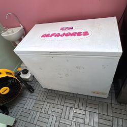 Chest Freezer