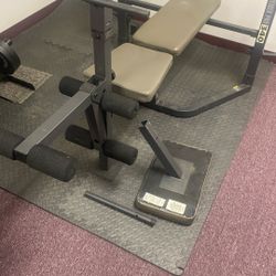 Full Body Workout Machine