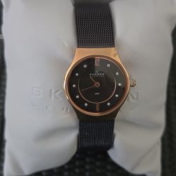 Skagen 233XSRDD Brown Dial Stainless Steel Mesh Buckle Women Watch ~Needs Battery~