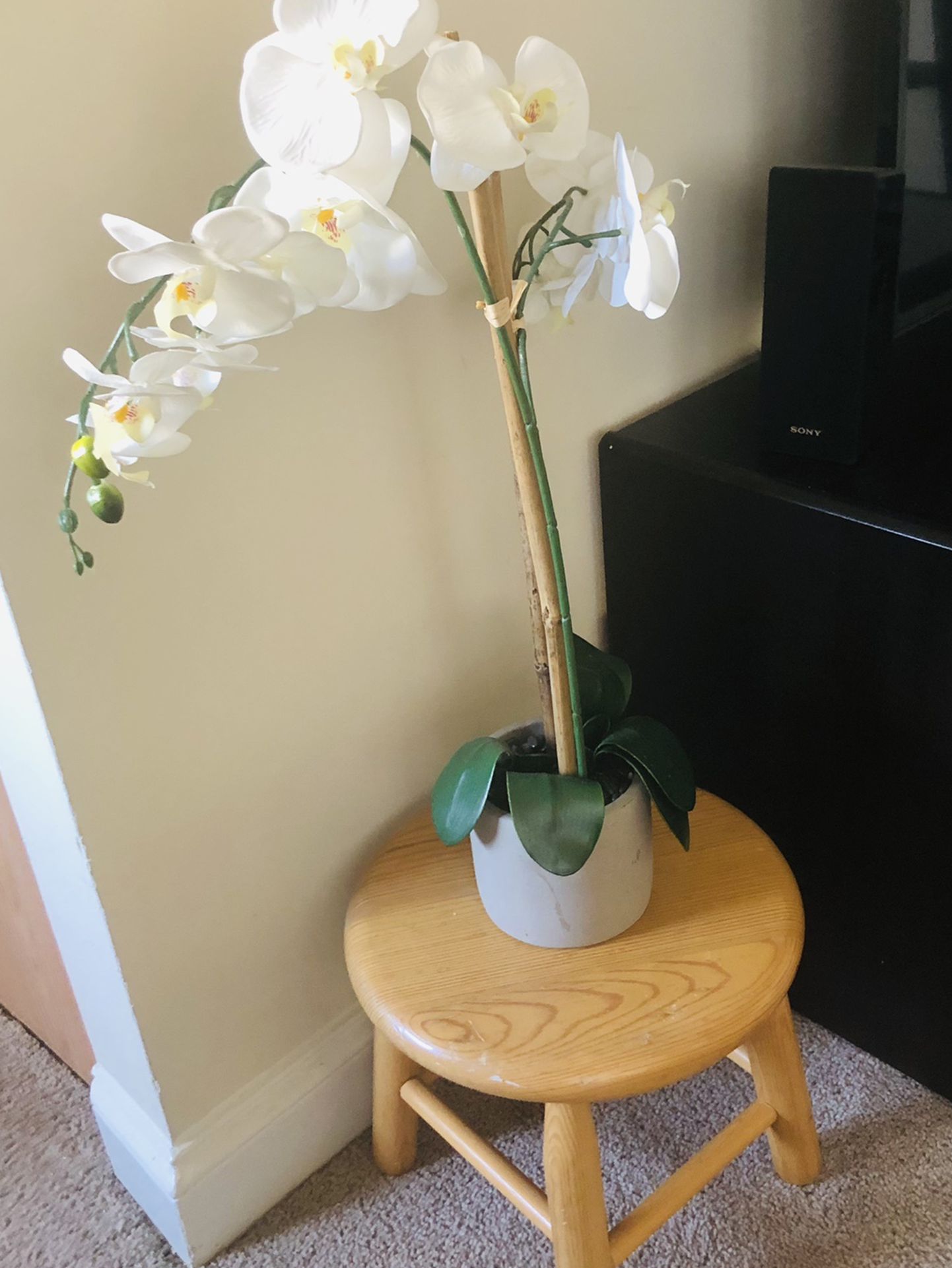 Fake Orchid And Plant Stand