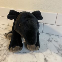 Stuffed Animal 