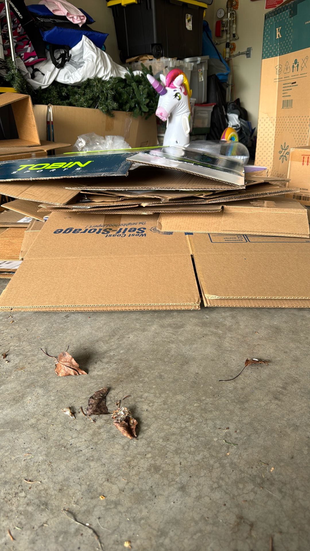 Free Boxes