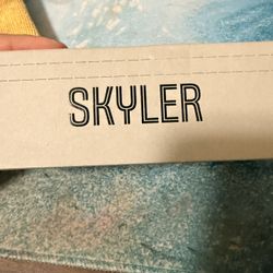 Ray Ban Meta Glasses Skyler 