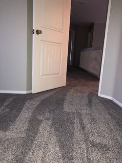 Carpet
