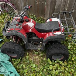 Kids Quad 