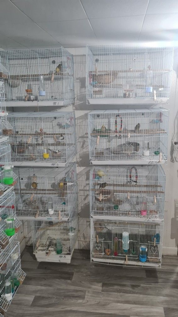 Breeding Bird Cage White