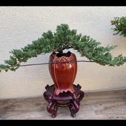 bonsai zubehr set Bonsai Werkzeug-Set 13-teilig mit praktischem Aufbewahrungsbeutel   HappySeed