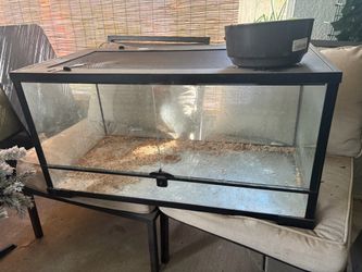 Large Glass Reptile Terrarium – 36” × 18.25” × 18”