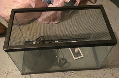 Aquarium and lamp